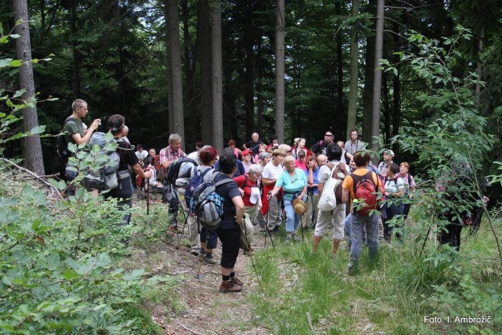 Apartments Pri Marjetki Cerkno Luaran gambar