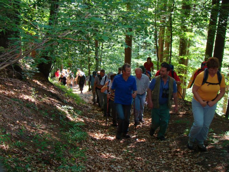 Apartments Pri Marjetki Cerkno Luaran gambar