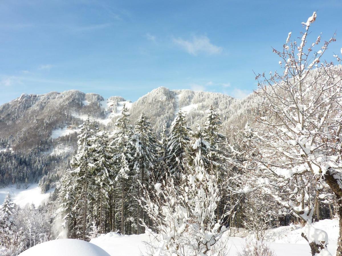 Apartments Pri Marjetki Cerkno Luaran gambar