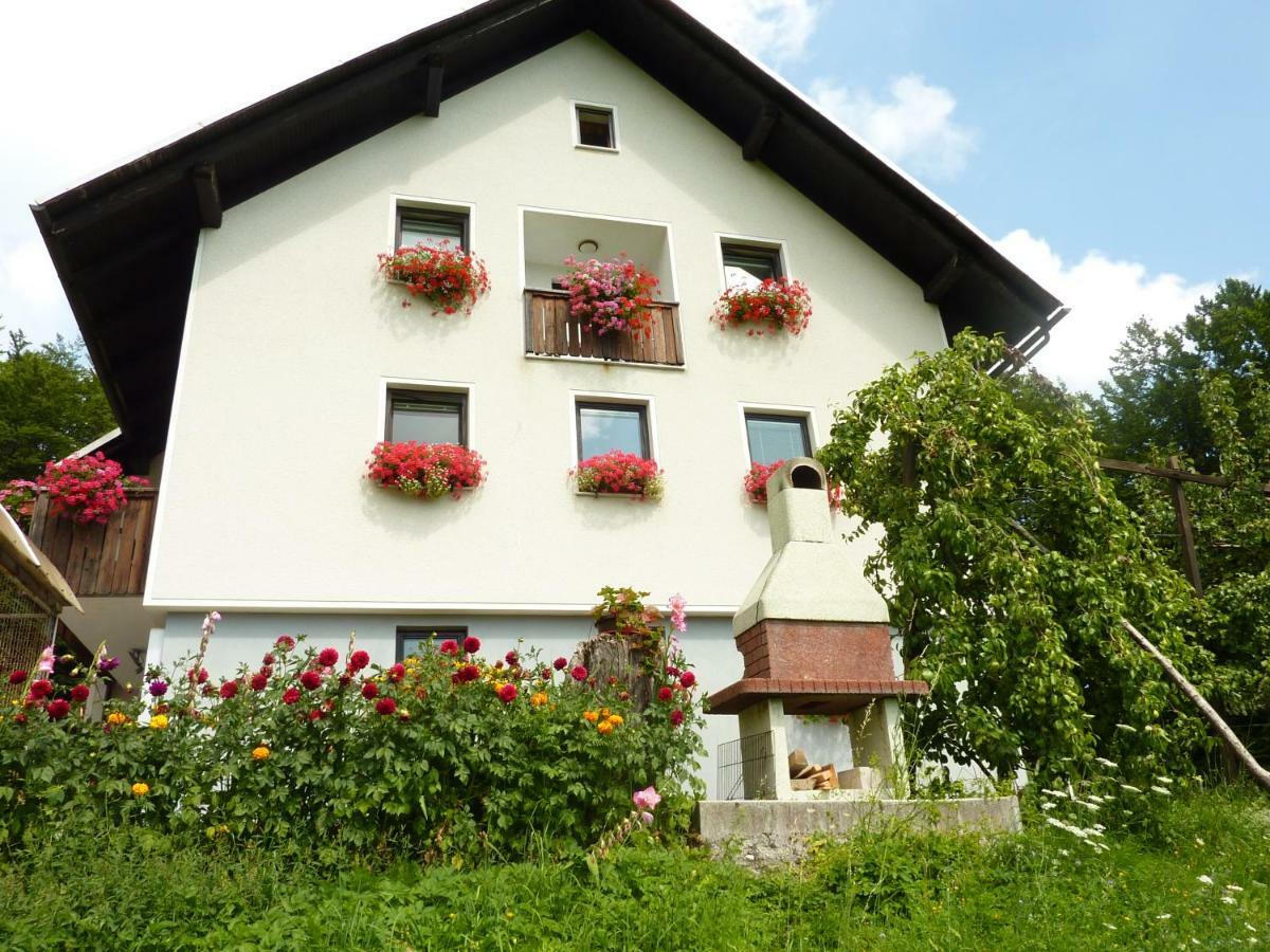 Apartments Pri Marjetki Cerkno Luaran gambar